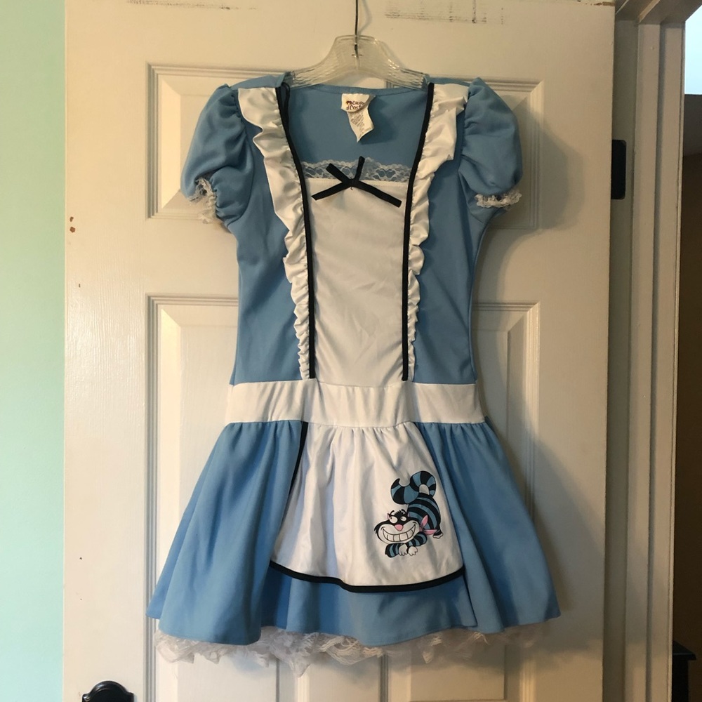 Alice in Wonderland Costume